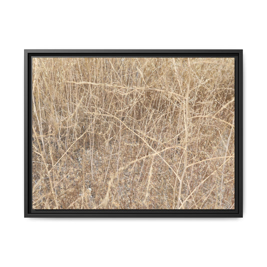 Golden Stalks - Unique Stretched Canvas Wall Art - Art By Earth