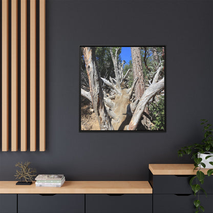Forest Sentinels - Unique Stretched Canvas Wall Art