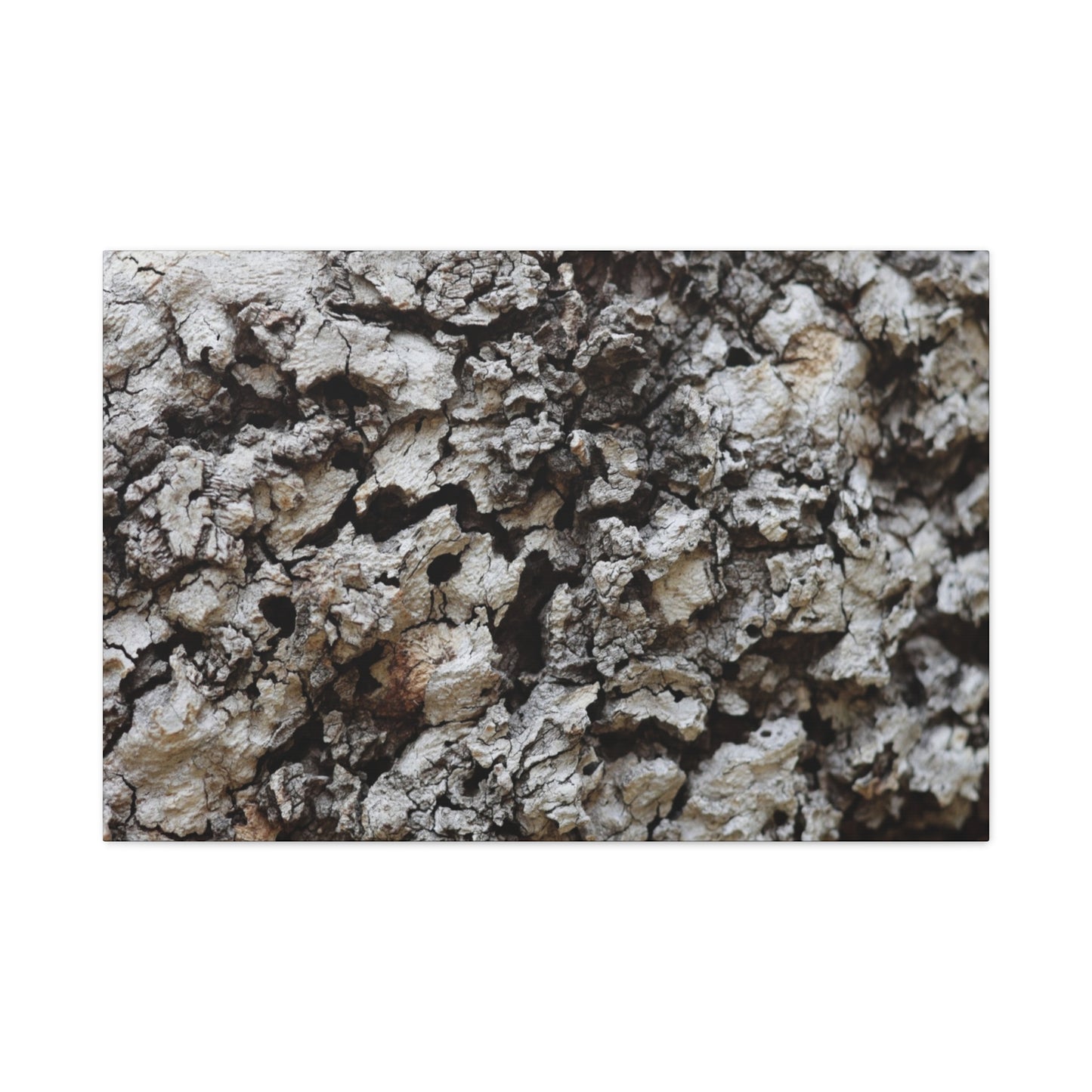 Cracked Earth Tapestry - Unique Frameless Canvas Wall Art - Art By Earth