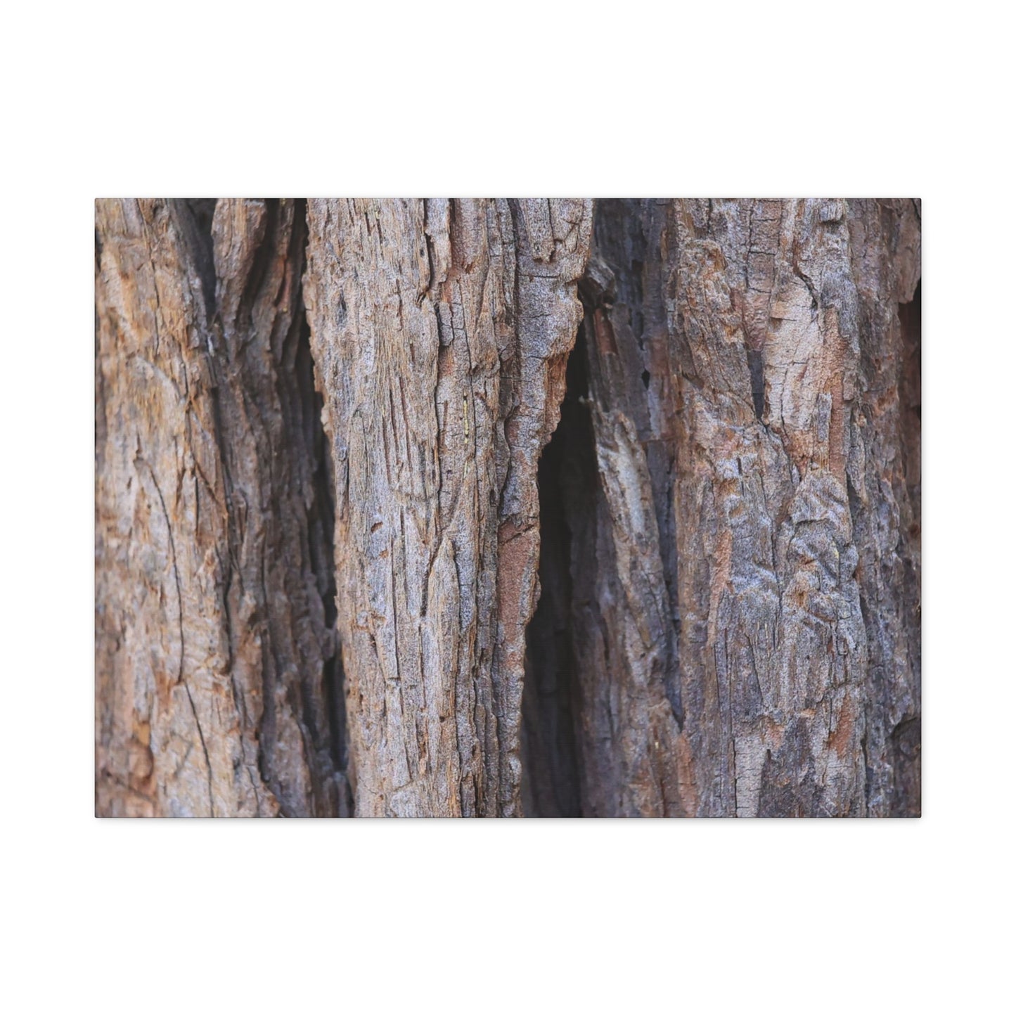 Fractal Skin - Unique Frameless Canvas Wall Art - Art By Earth