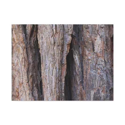 Fractal Skin - Unique Frameless Canvas Wall Art - Art By Earth