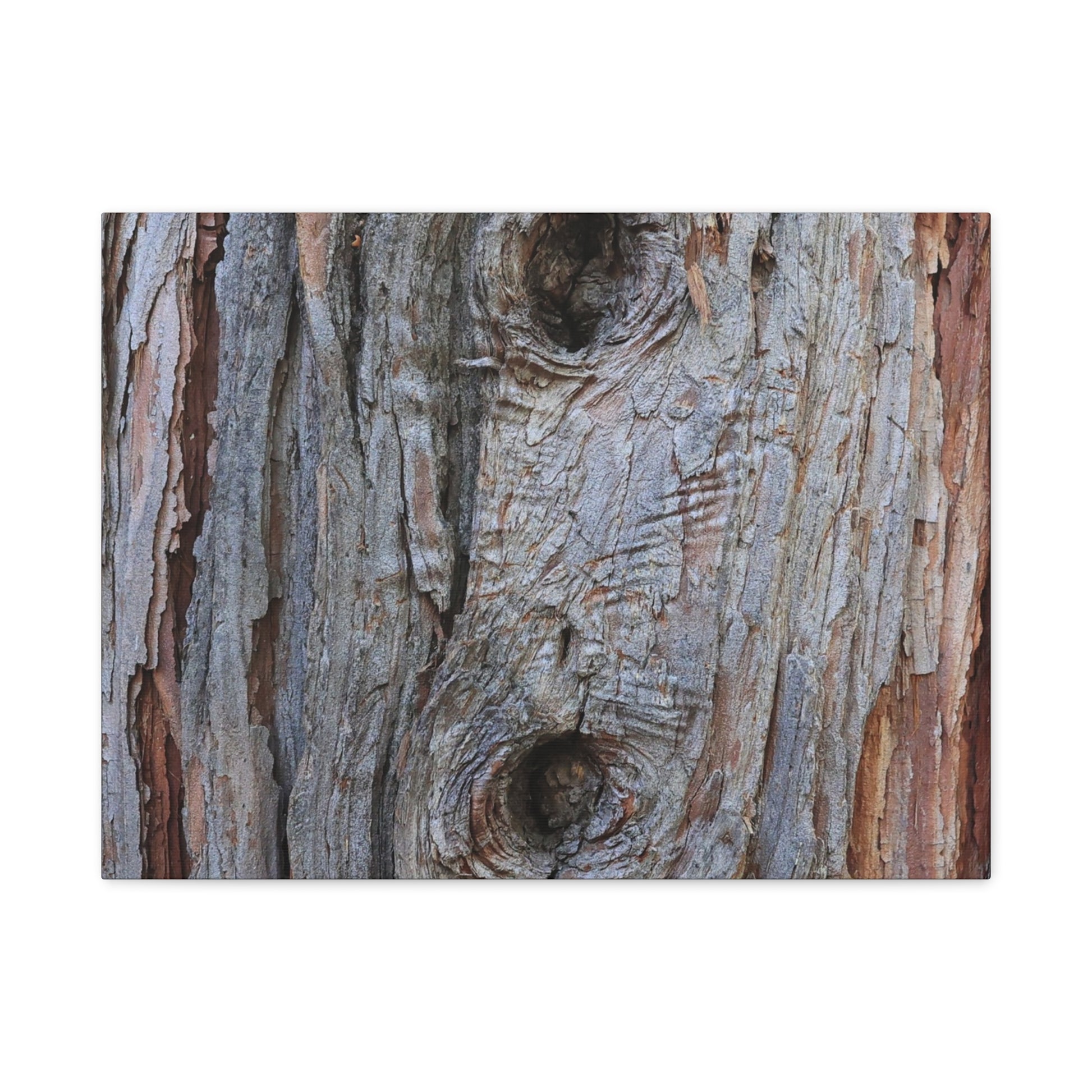 Wooden Memoir - Unique Frameless Canvas Wall Art - Art By Earth