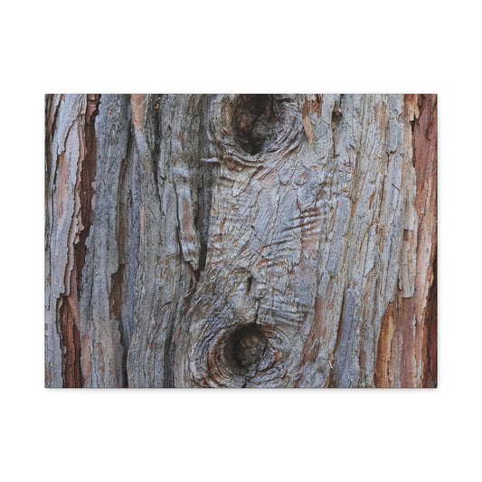 Wooden Memoir - Unique Frameless Canvas Wall Art - Art By Earth