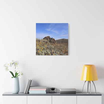 Desert Bloom - Unique Frameless Canvas Wall Art - Art By Earth