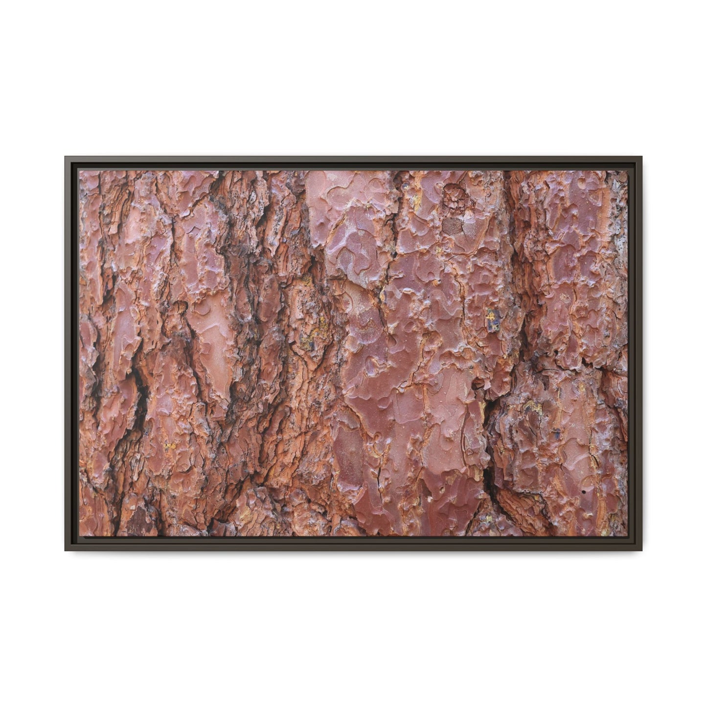 Russet Ridges - Unique Stretched Canvas Wall Art - Art By Earth
