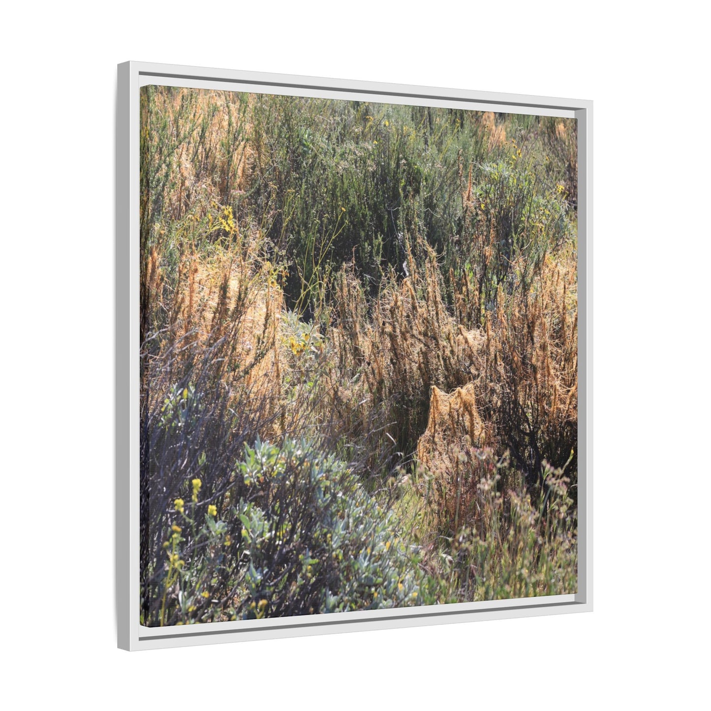 Drought-Stricken Landscape - Unique Stretched Canvas Wall Art - Art By Earth