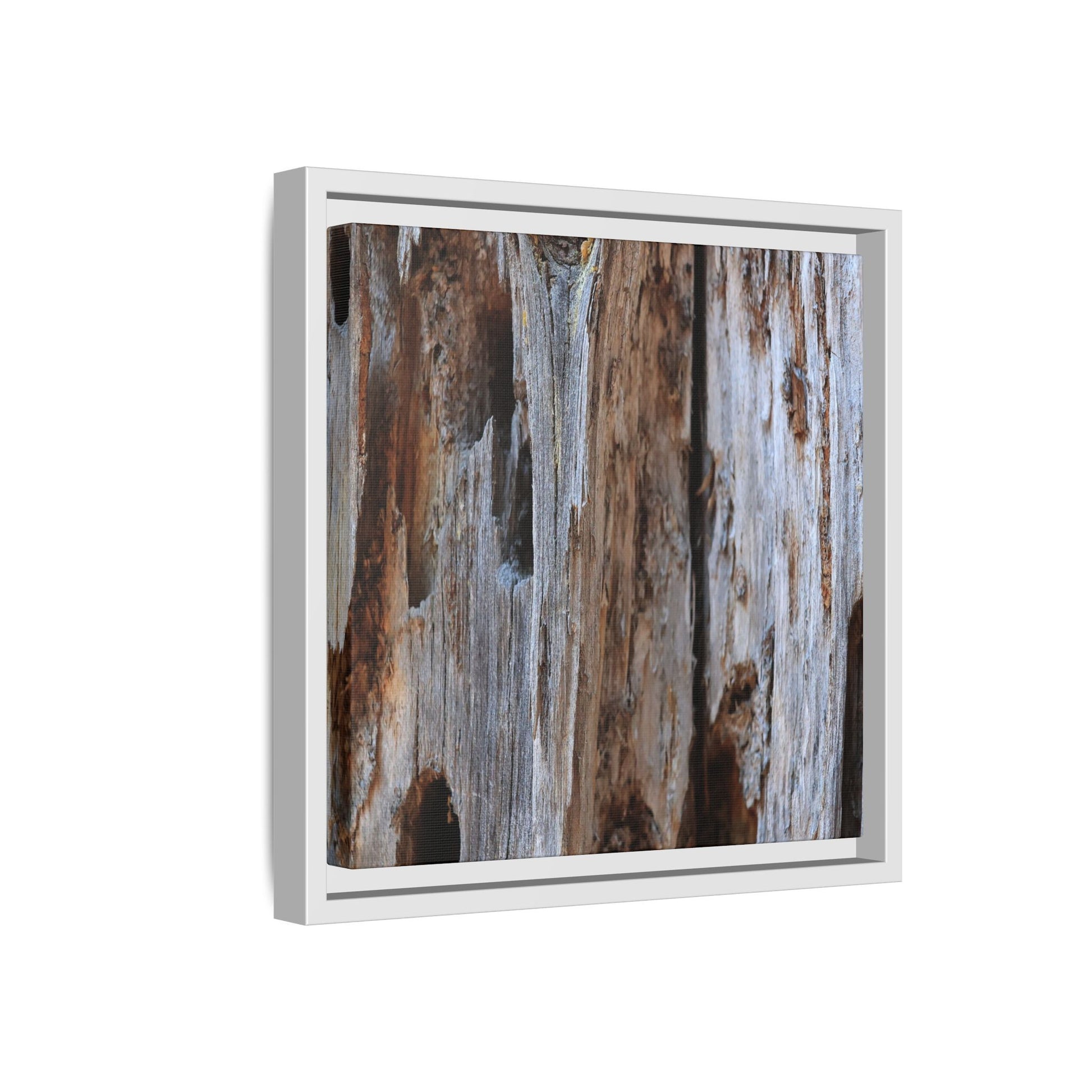 Decaying Splendor - Unique Stretched Canvas Wall Art - Art By Earth