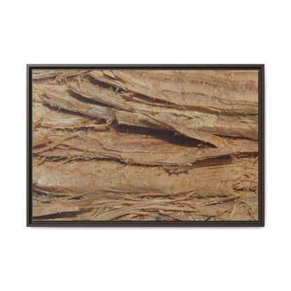 Splintered Bark - Unique Stretched Canvas Wall Art - Art By Earth