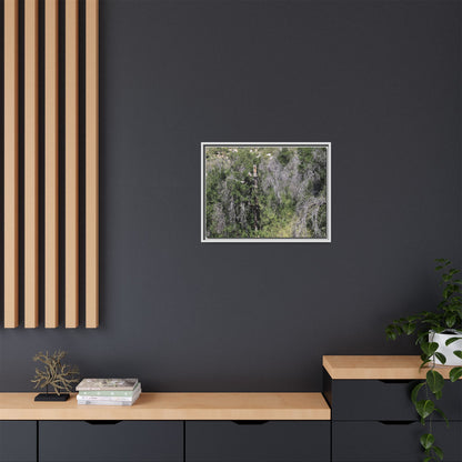 Forest Decline - Unique Stretched Canvas Wall Art
