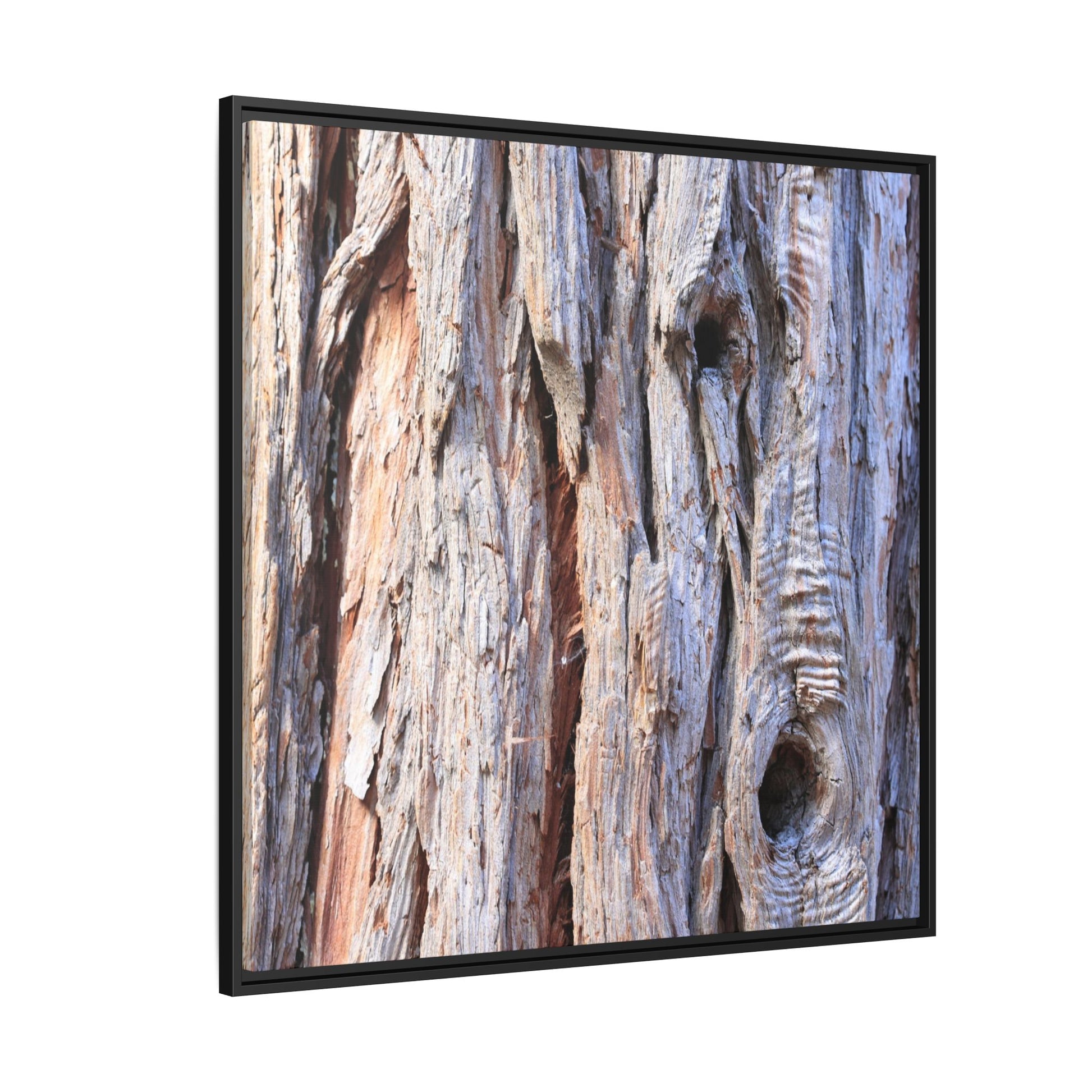 Nature's Grain - Unique Stretched Canvas Wall Art - Art By Earth