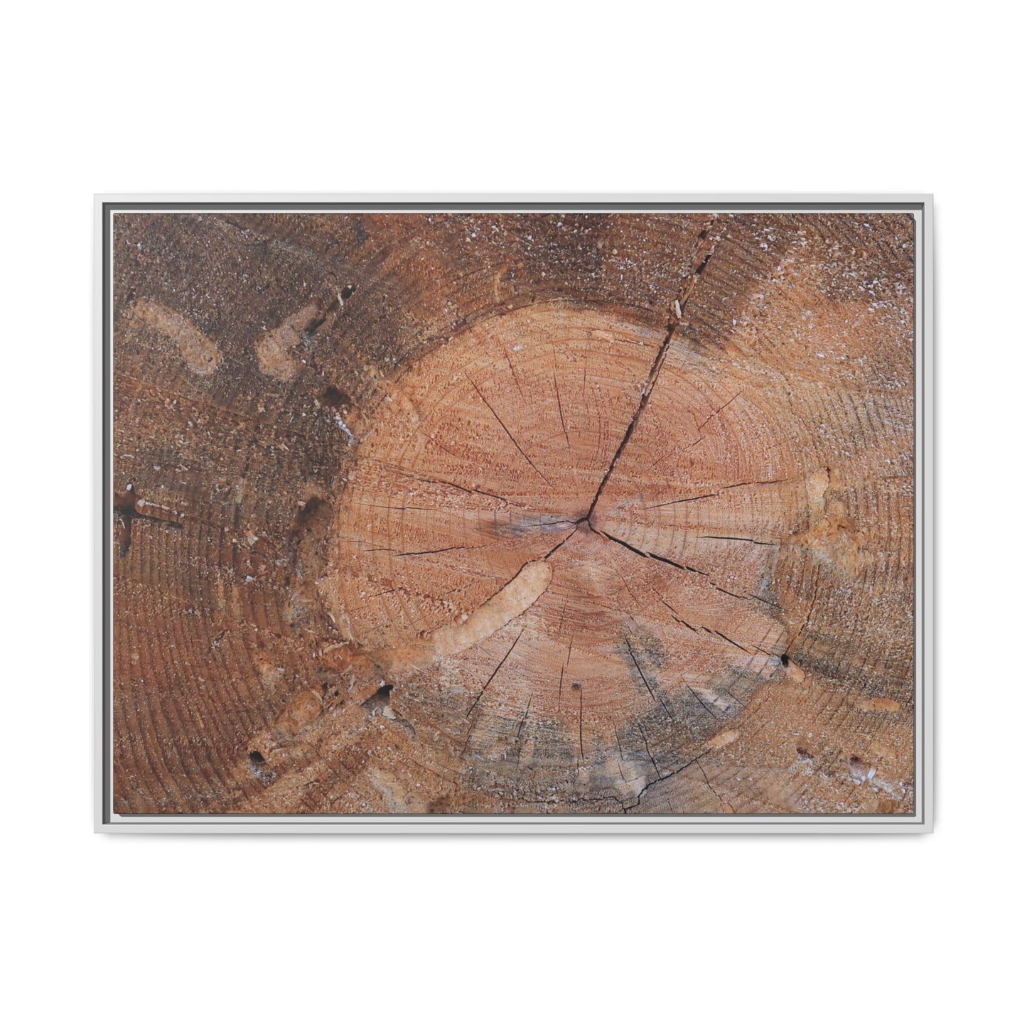 Concentric Memories - Unique Stretched Canvas Wall Art - Art By Earth