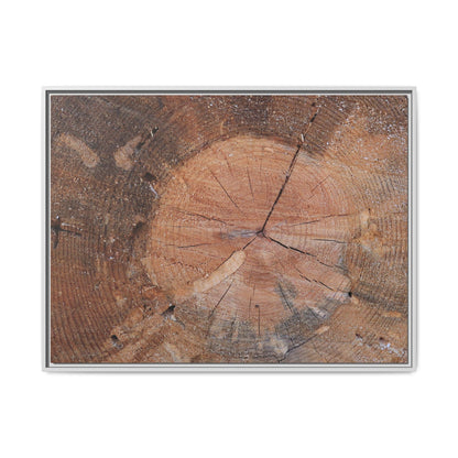 Concentric Memories - Unique Stretched Canvas Wall Art - Art By Earth