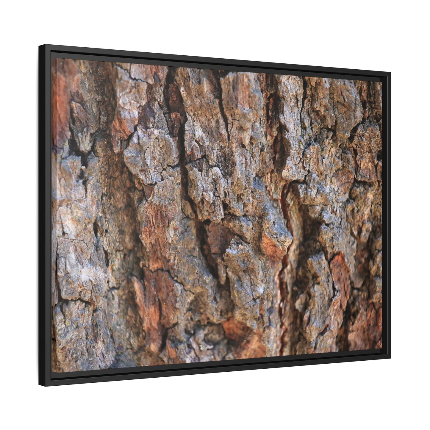 Craggy Textures - Unique Stretched Canvas Wall Art - Art By Earth
