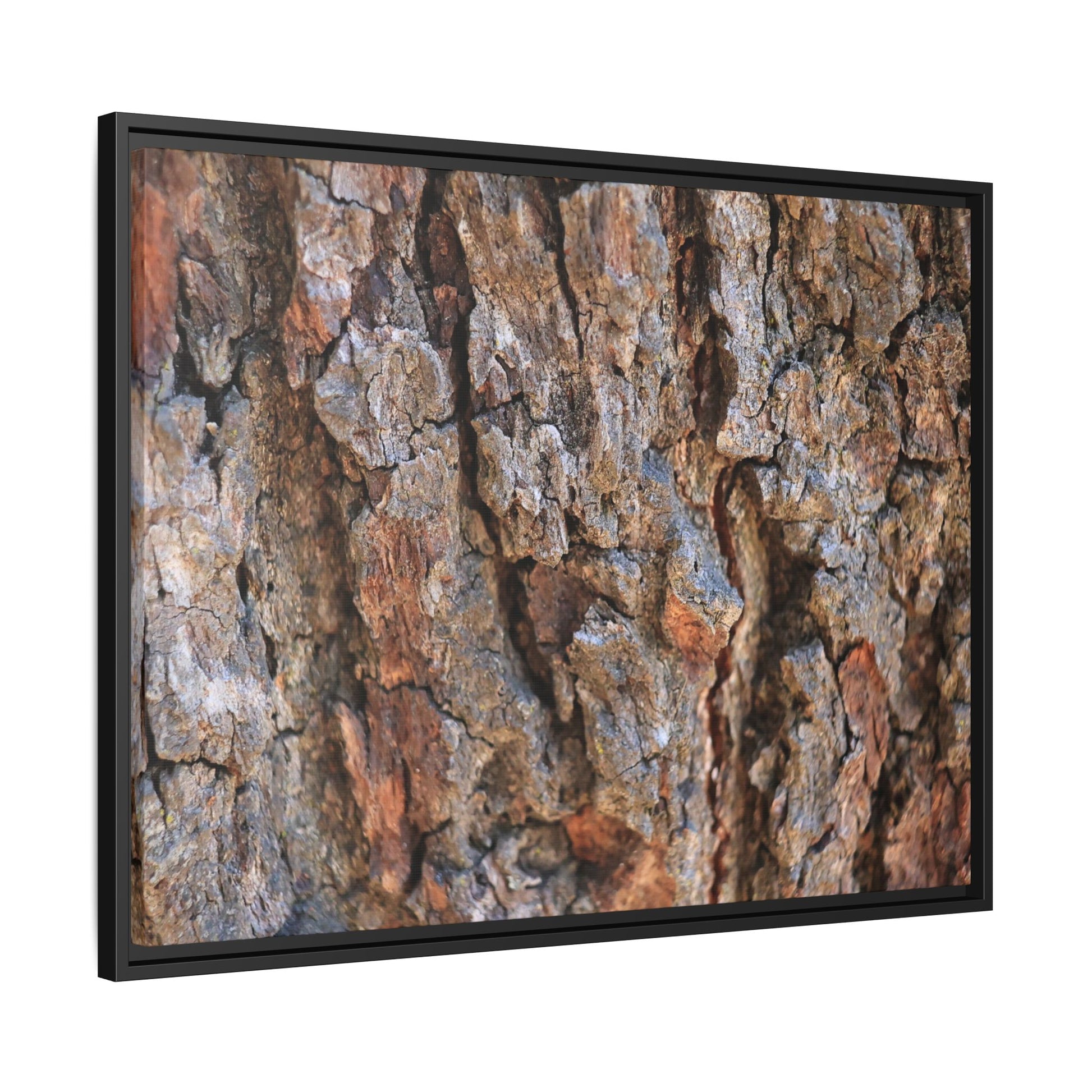 Craggy Textures - Unique Stretched Canvas Wall Art - Art By Earth