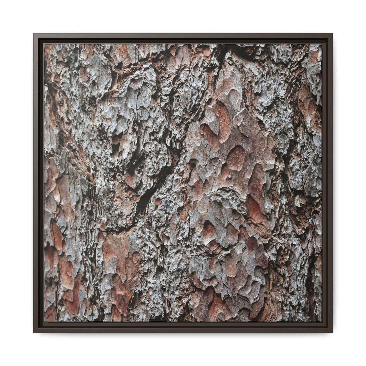 Bark Texture Symphony - Unique Stretched Canvas Wall Art - Art By Earth
