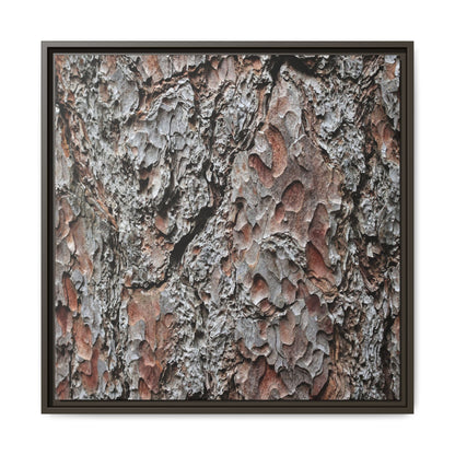 Bark Texture Symphony - Unique Stretched Canvas Wall Art - Art By Earth