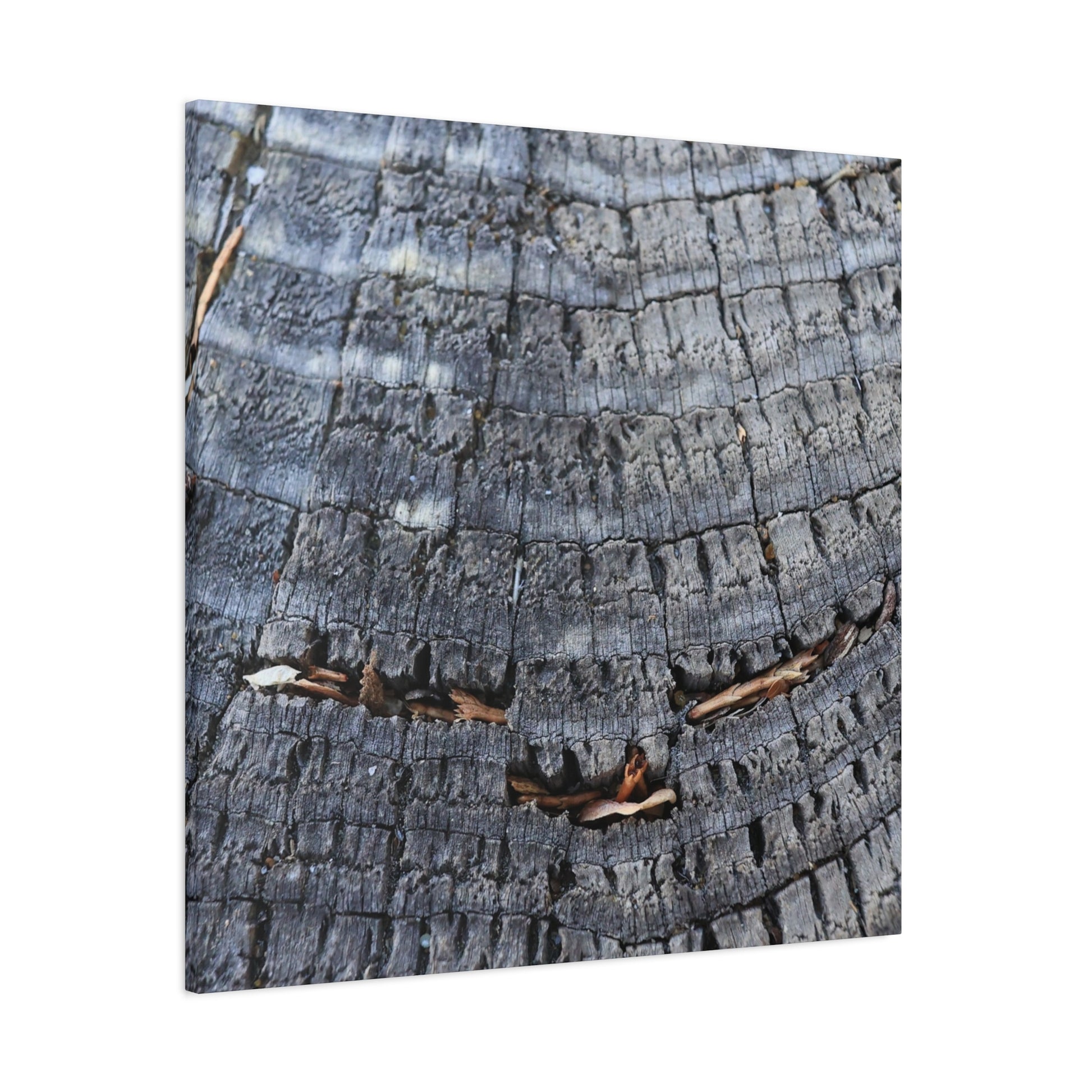 Time's Fractal Whispers - Unique Frameless Canvas Wall Art - Art By Earth