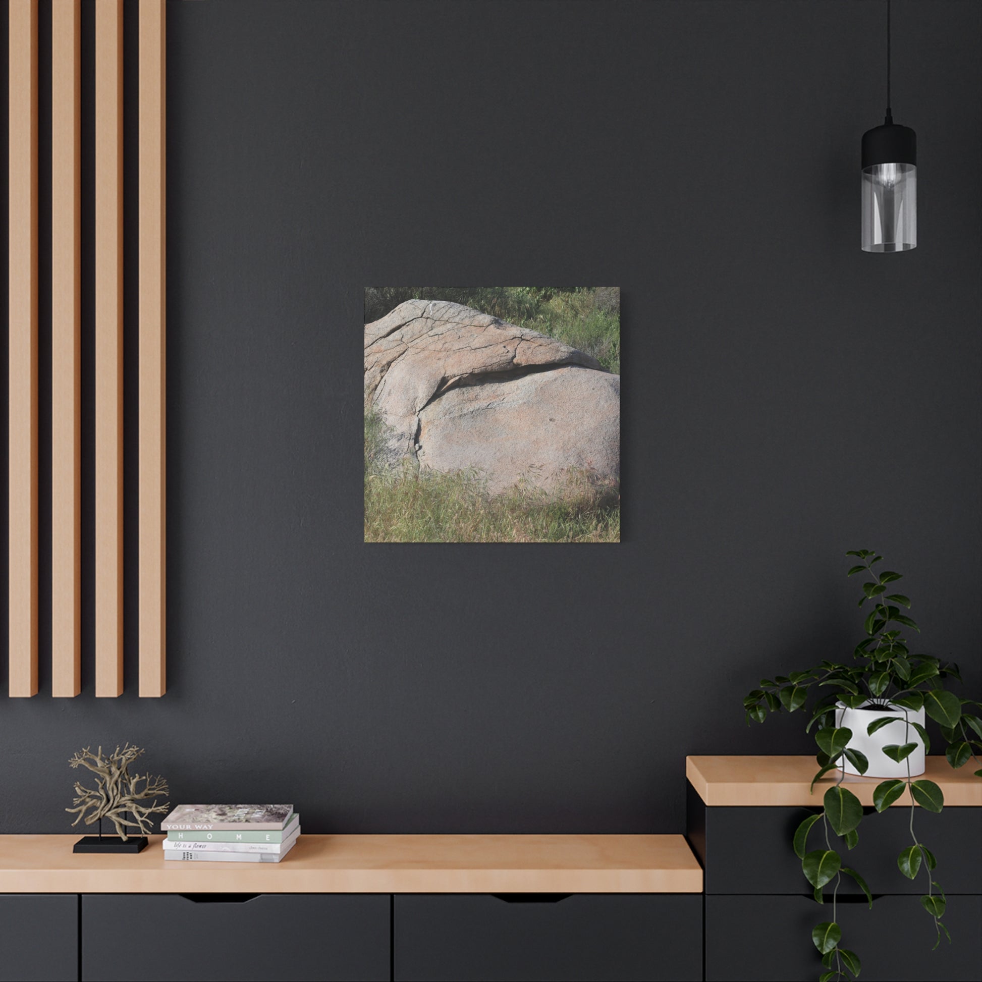 Granite Boulder in Desert Scrub - Unique Frameless Canvas Wall Art - Art By Earth