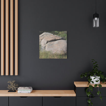 Granite Boulder in Desert Scrub - Unique Frameless Canvas Wall Art - Art By Earth
