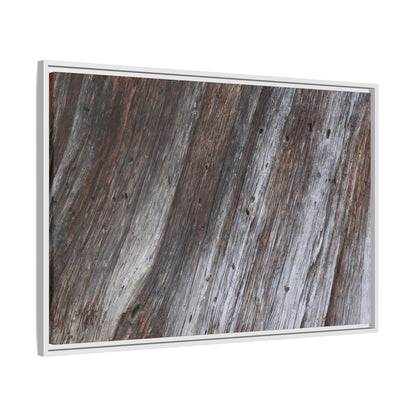 Aged Timber Texture - Unique Stretched Canvas Wall Art - Art By Earth