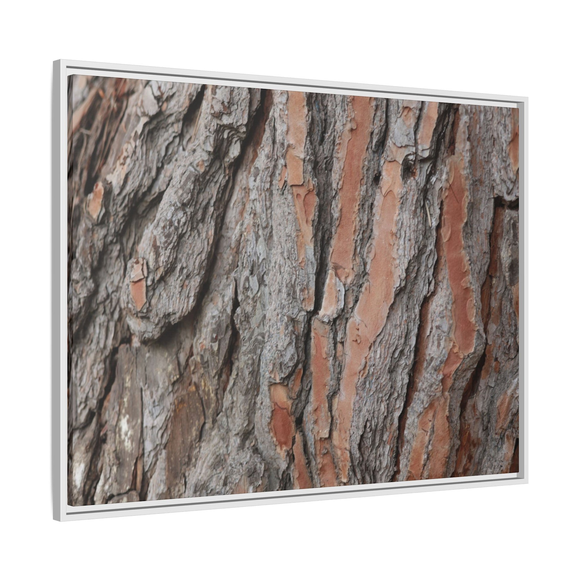 Woodland Layers - Unique Stretched Canvas Wall Art - Art By Earth