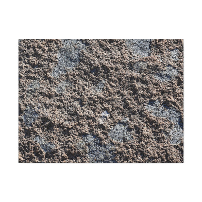Soil and Stone - Unique Frameless Canvas Wall Art