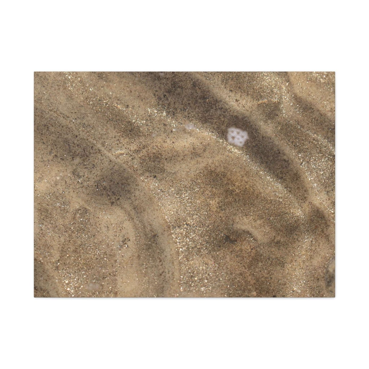 Sandy Shore Impressions - Unique Frameless Canvas Wall Art - Art By Earth