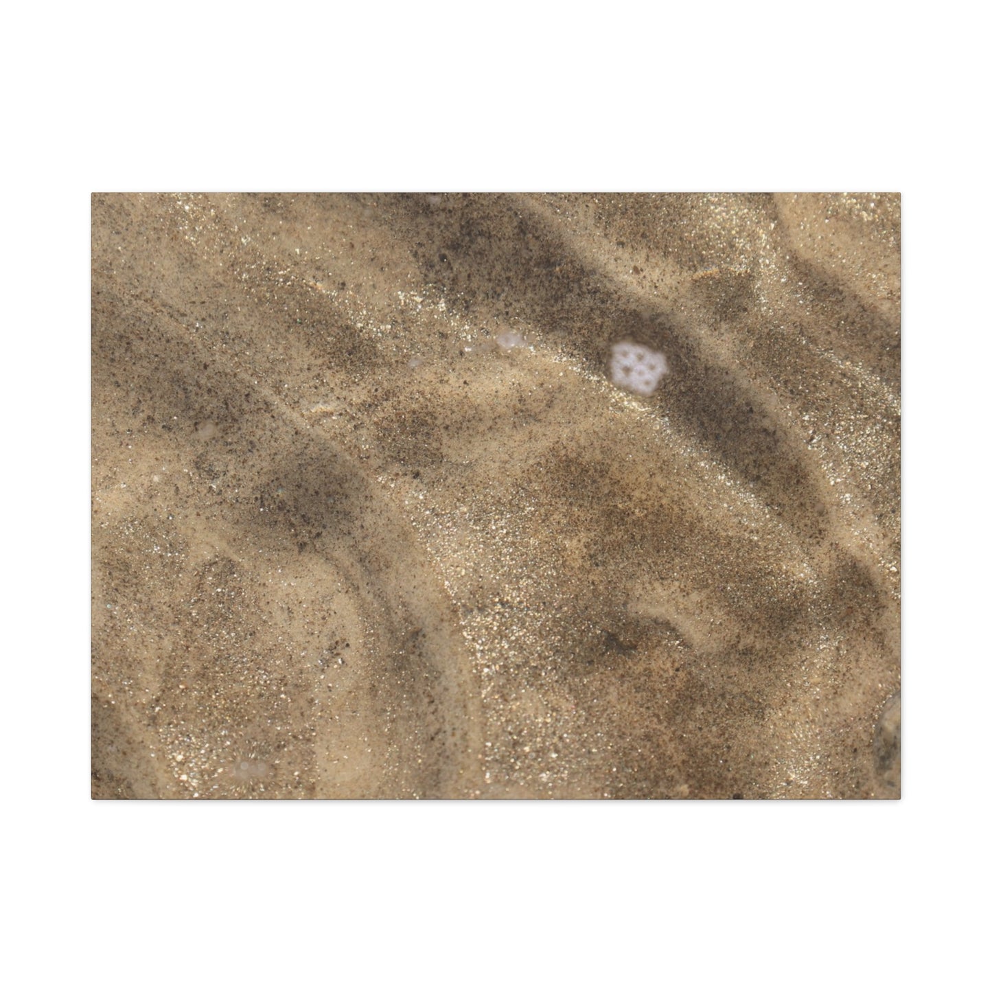 Sandy Shore Impressions - Unique Frameless Canvas Wall Art - Art By Earth