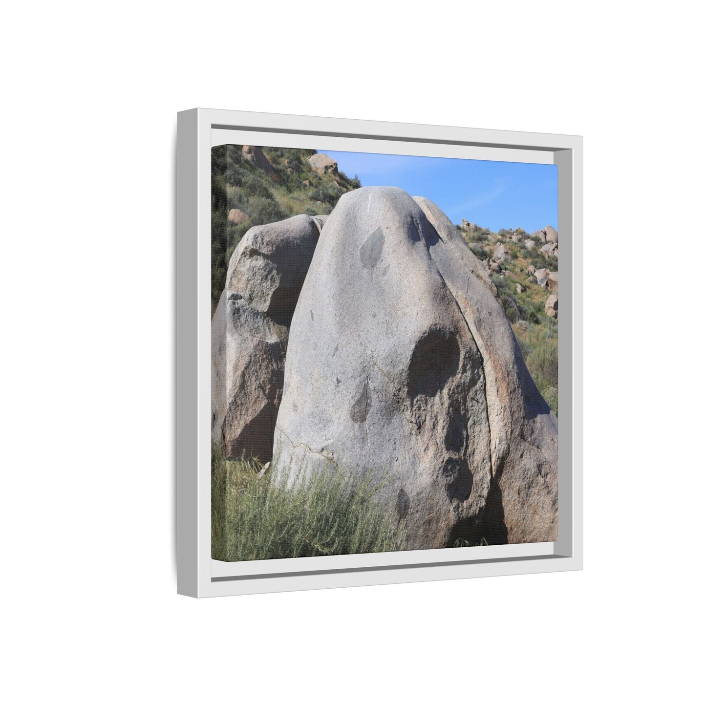 Skull Rock Desert - Unique Stretched Canvas Wall Art - Art By Earth