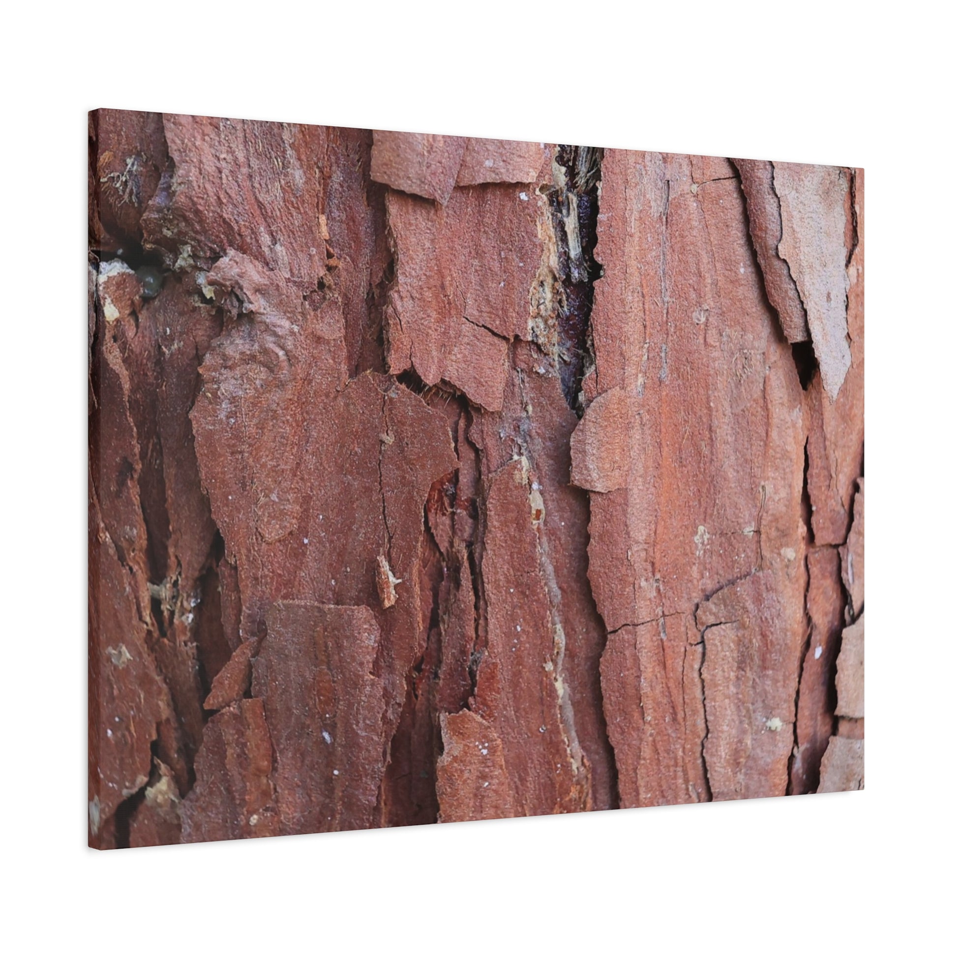 Crimson Fissures - Unique Frameless Canvas Wall Art - Art By Earth