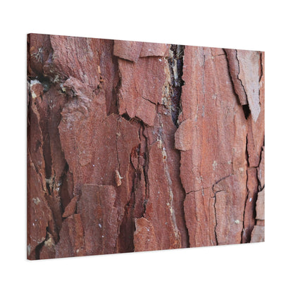 Crimson Fissures - Unique Frameless Canvas Wall Art - Art By Earth