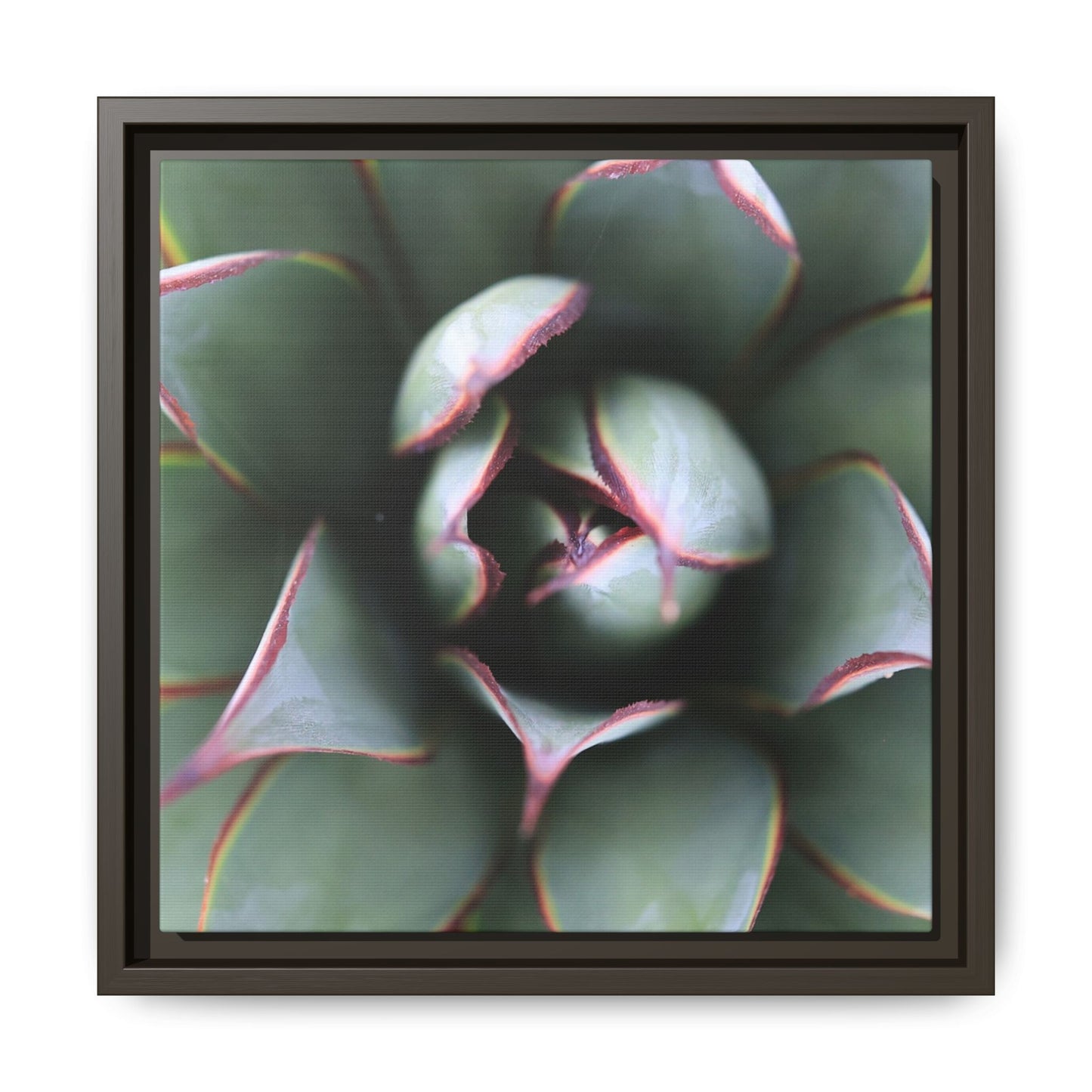 Spiky Elegance - Unique Stretched Canvas Wall Art - Art By Earth