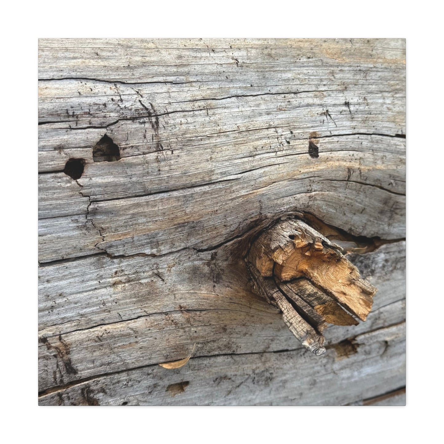 Weathered Wood Portrait - Unique Frameless Canvas Wall Art - Art By Earth