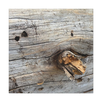 Weathered Wood Portrait - Unique Frameless Canvas Wall Art - Art By Earth