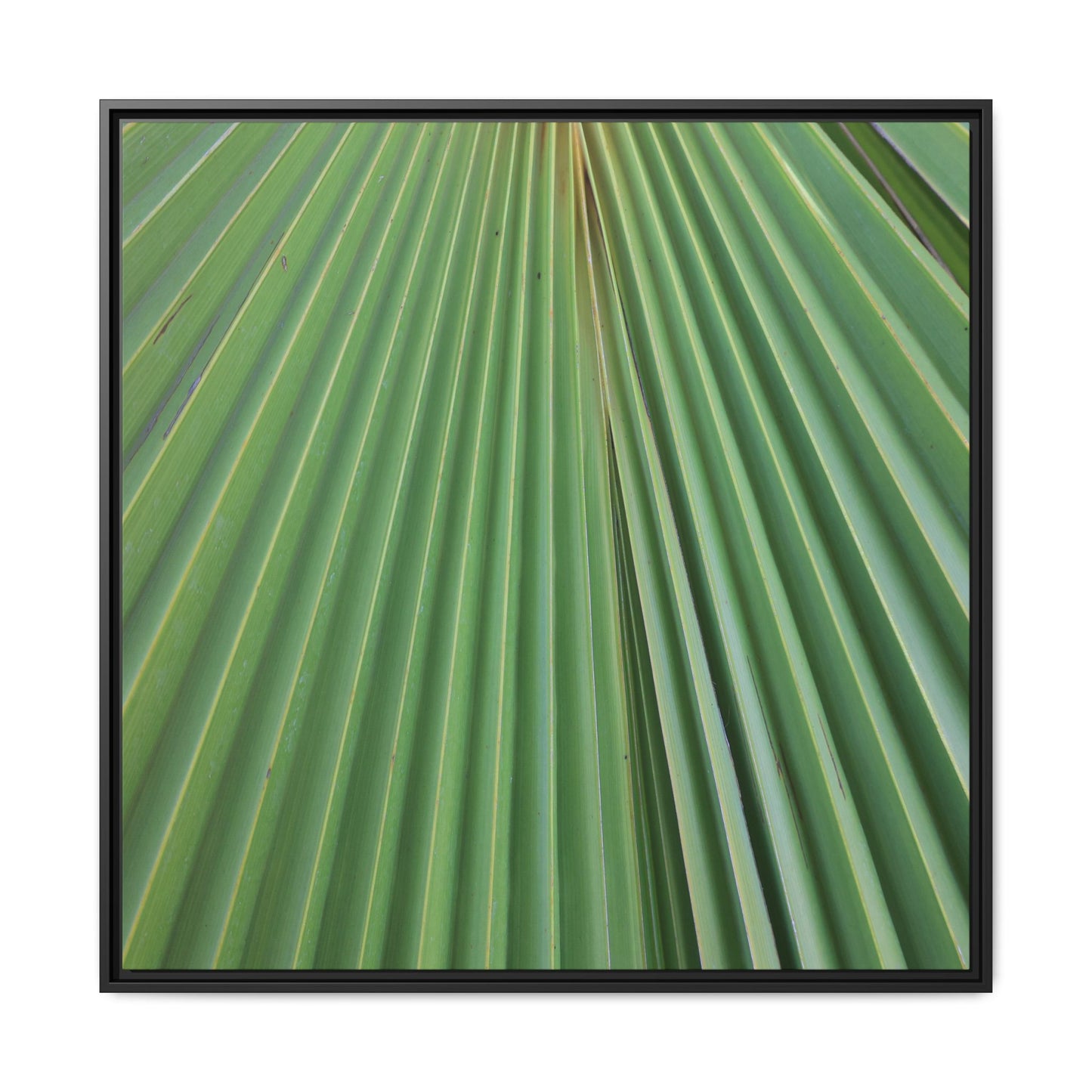 Verdant Veins - Unique Stretched Canvas Wall Art - Art By Earth