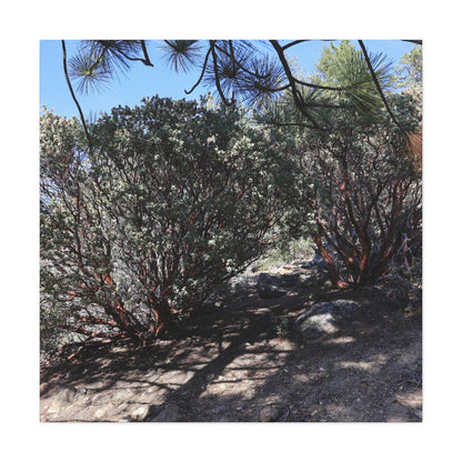 Desert Blooms - Unique Frameless Canvas Wall Art