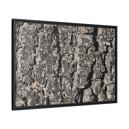 Bark Study in Gray - Unique Stretched Canvas Wall Art - Art By Earth