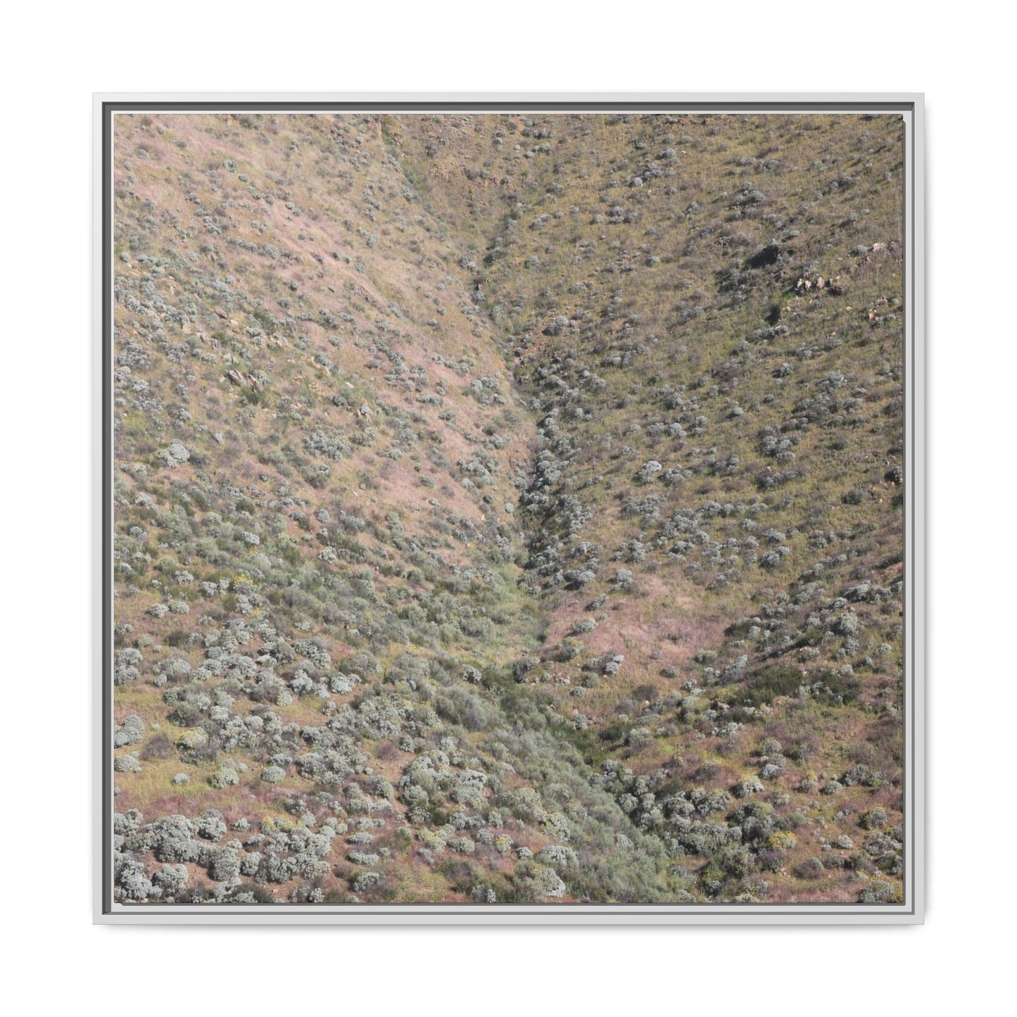 Mountain Slope with Desert Vegetation - Unique Stretched Canvas Wall Art - Art By Earth