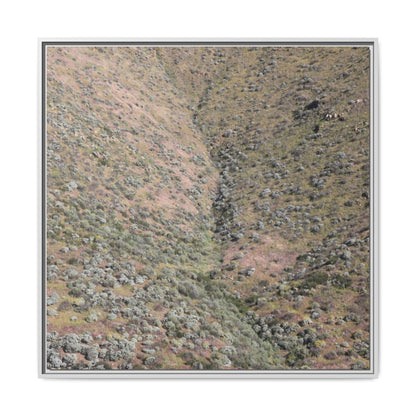 Mountain Slope with Desert Vegetation - Unique Stretched Canvas Wall Art - Art By Earth