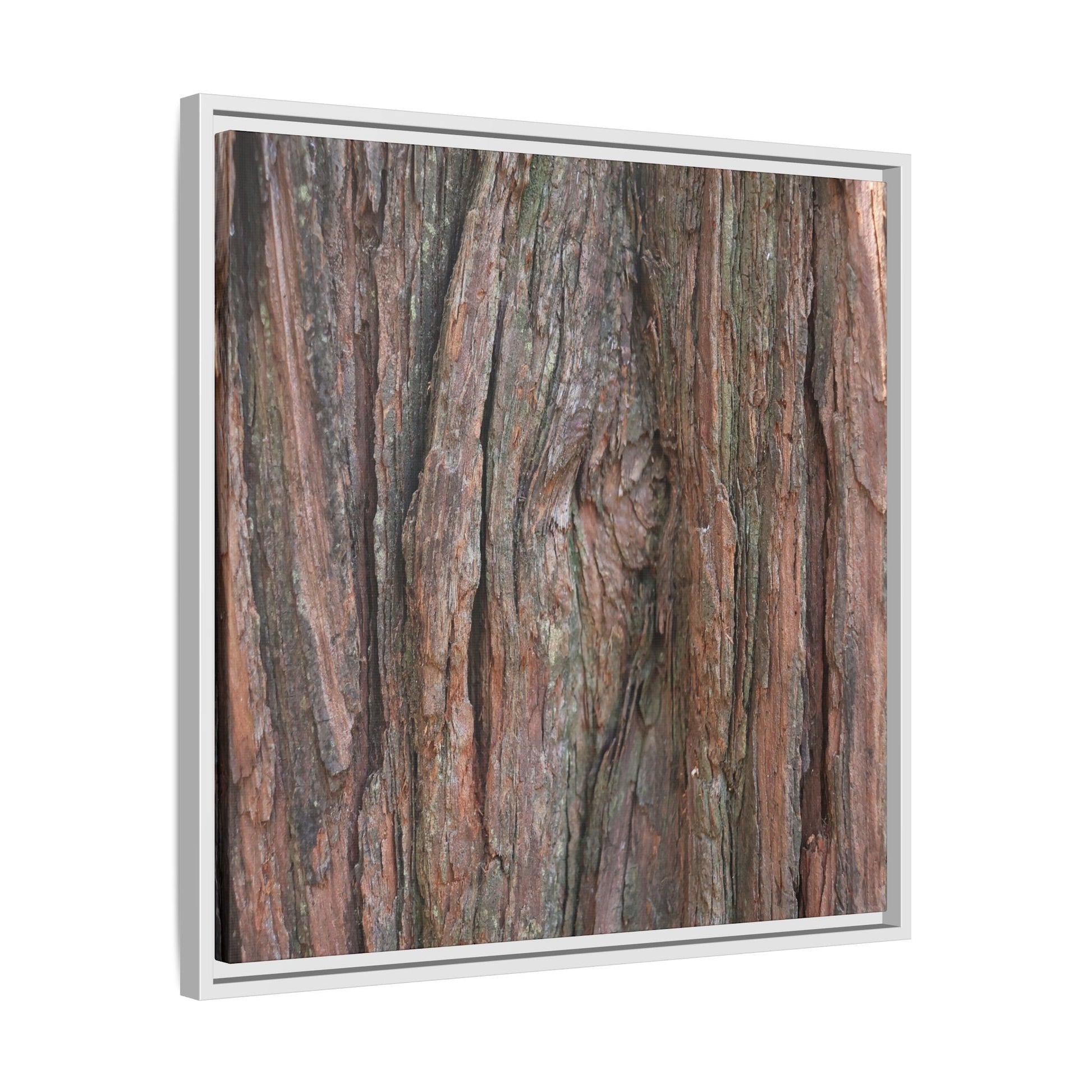 Rugged Textures - Unique Stretched Canvas Wall Art - Art By Earth