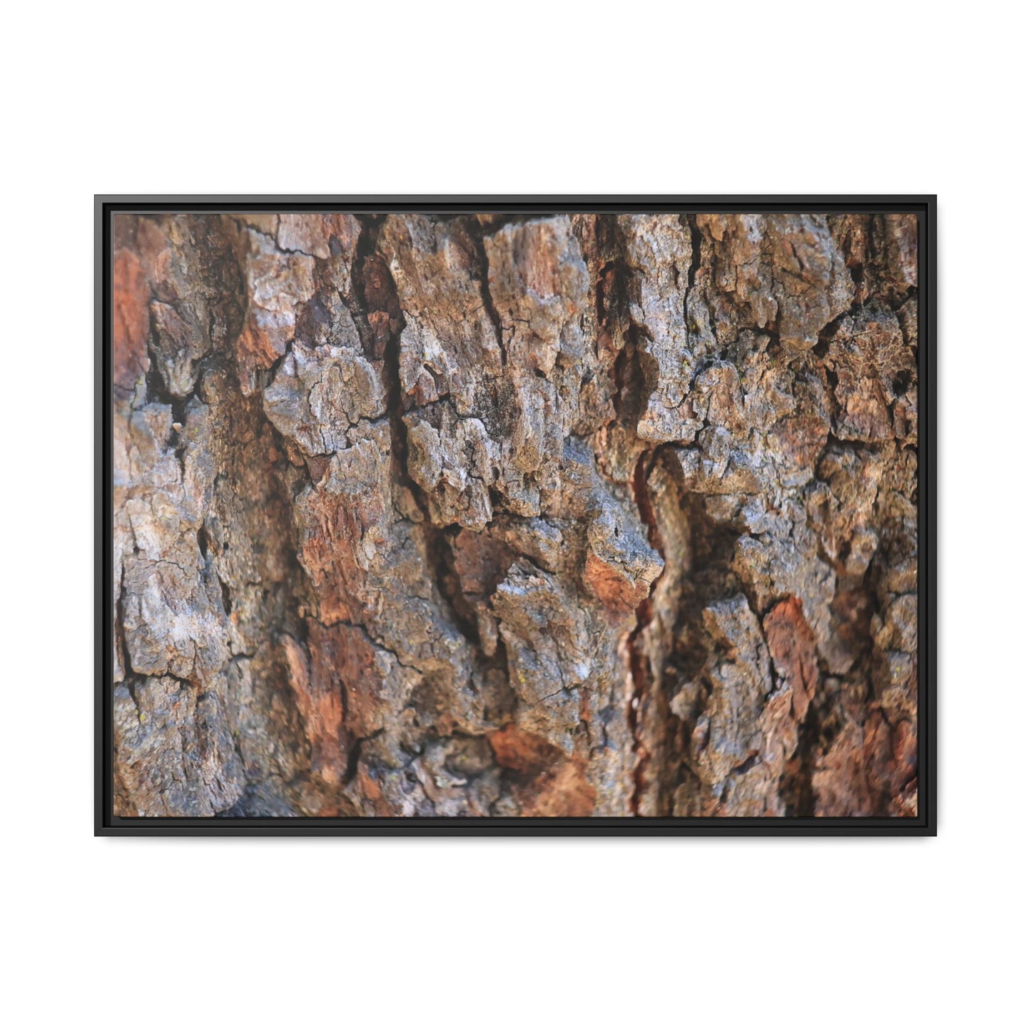 Craggy Textures - Unique Stretched Canvas Wall Art - Art By Earth
