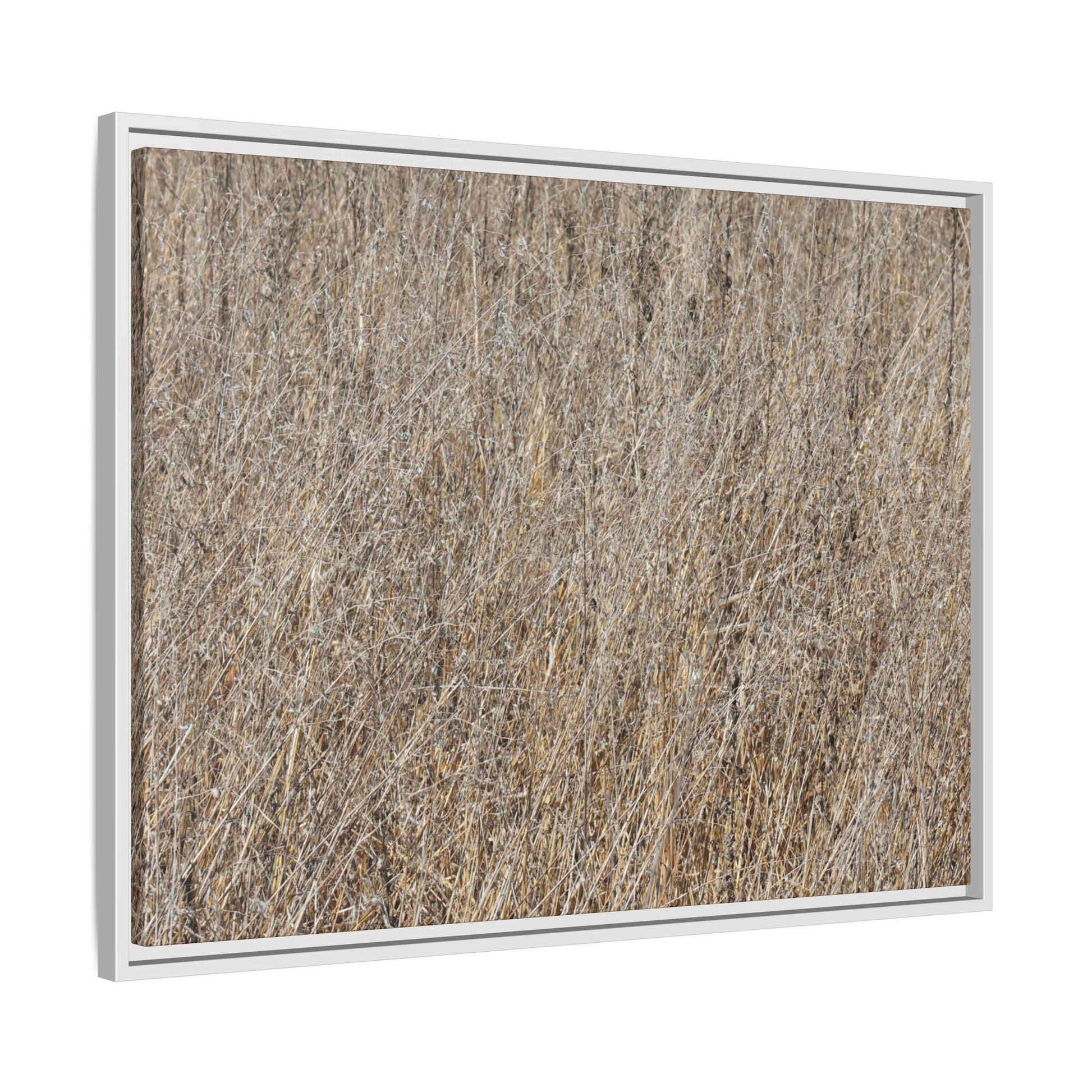 Dry Straw Symphony - Unique Stretched Canvas Wall Art - Art By Earth