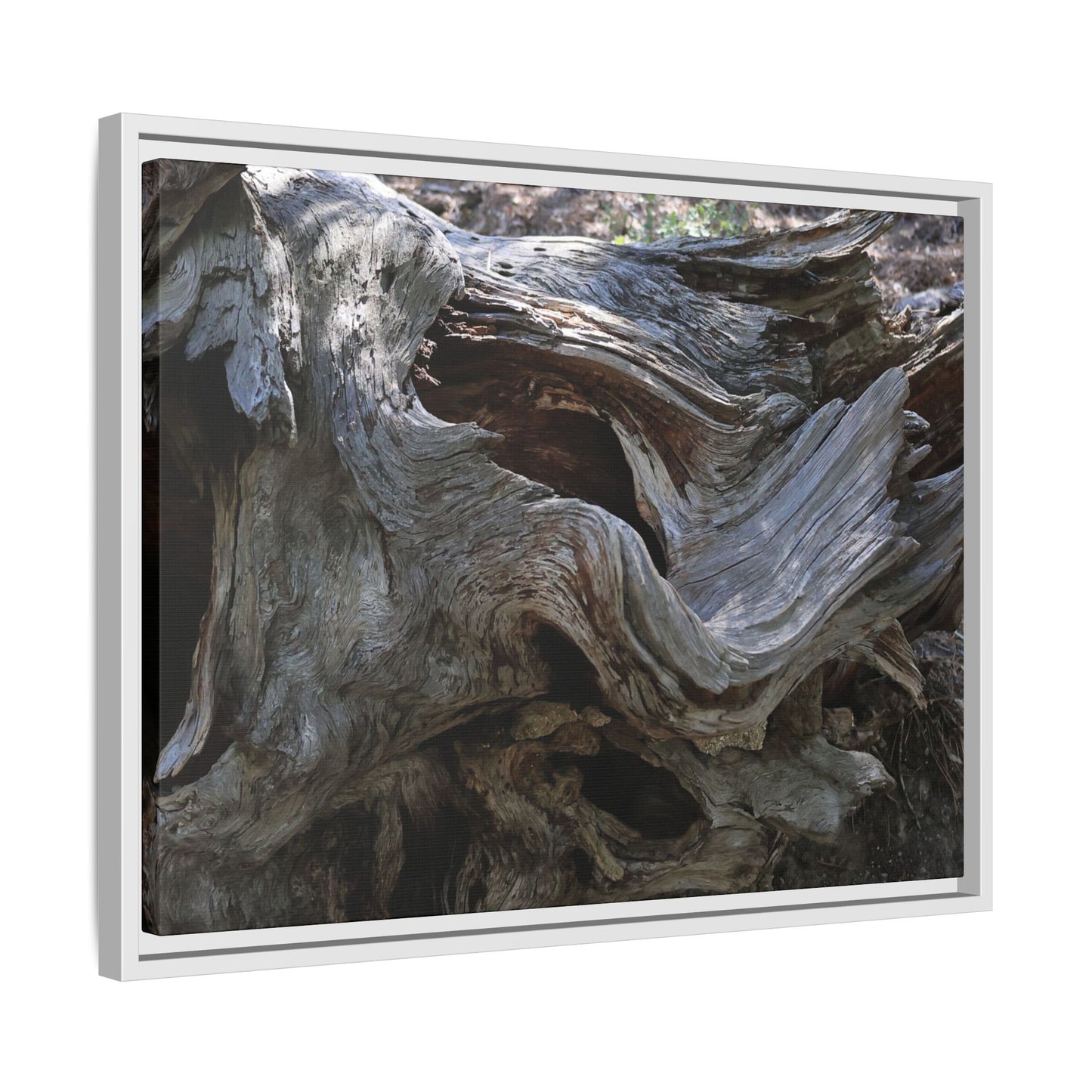 Twisted Memories - Unique Stretched Canvas Wall Art - Art By Earth