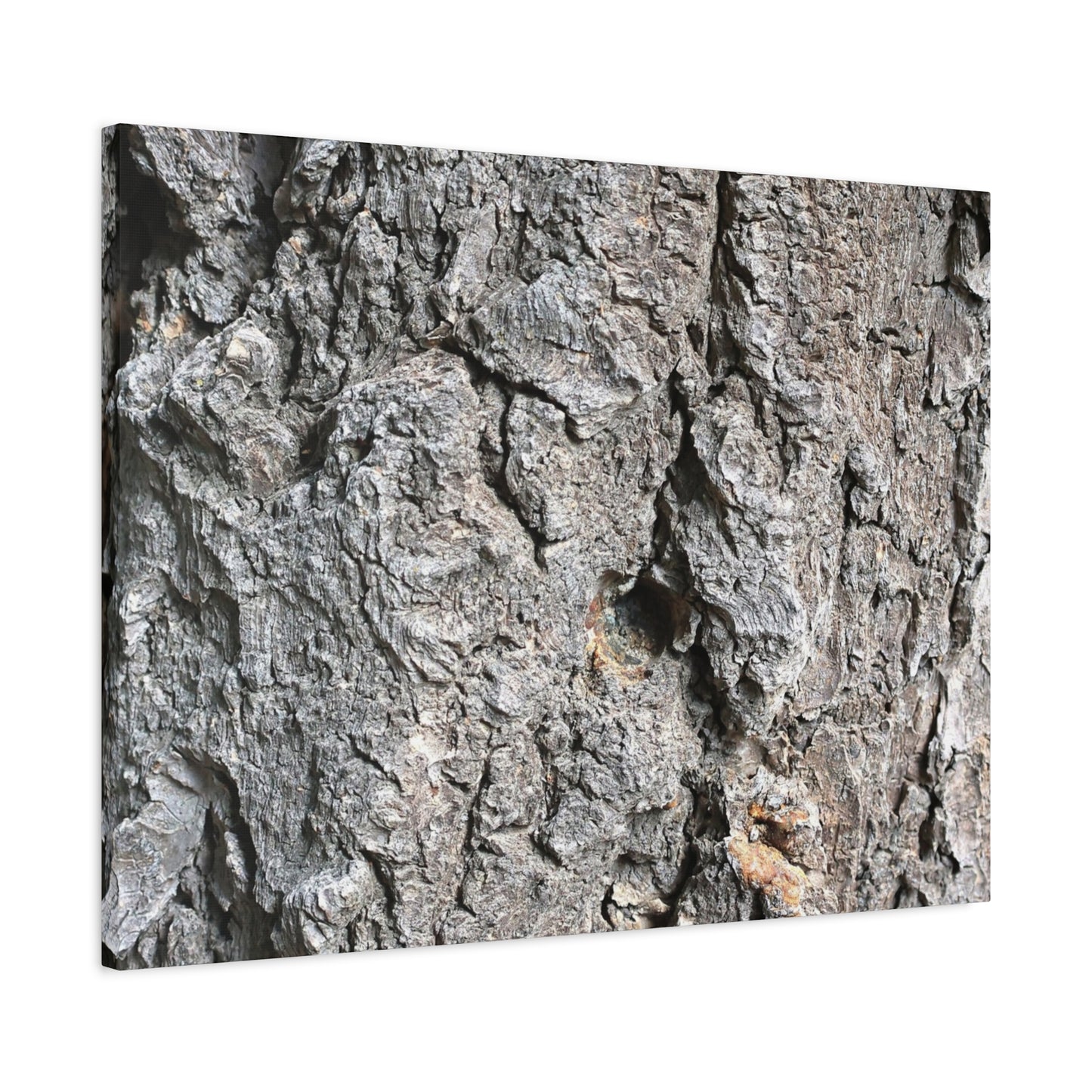 Elemental Canvas - Unique Frameless Canvas Wall Art - Art By Earth