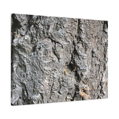 Elemental Canvas - Unique Frameless Canvas Wall Art - Art By Earth