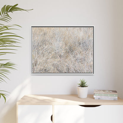Whispers of Dry Grass - Unique Stretched Canvas Wall Art - Art By Earth