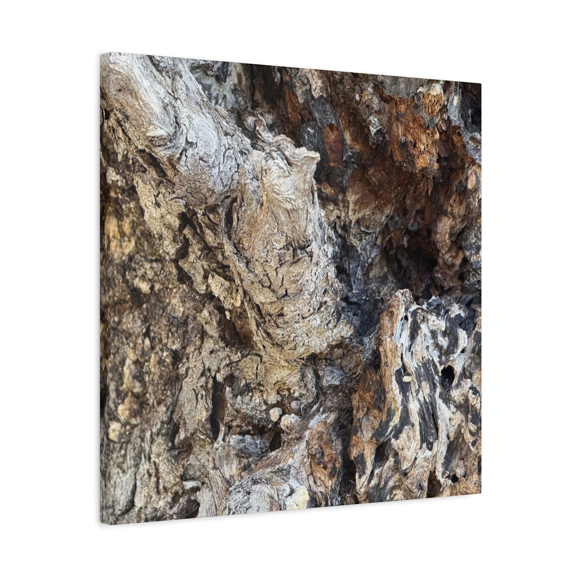 Weathered Bark Texture - Unique Frameless Canvas Wall Art - Art By Earth