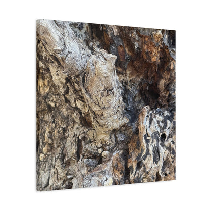 Weathered Bark Texture - Unique Frameless Canvas Wall Art - Art By Earth