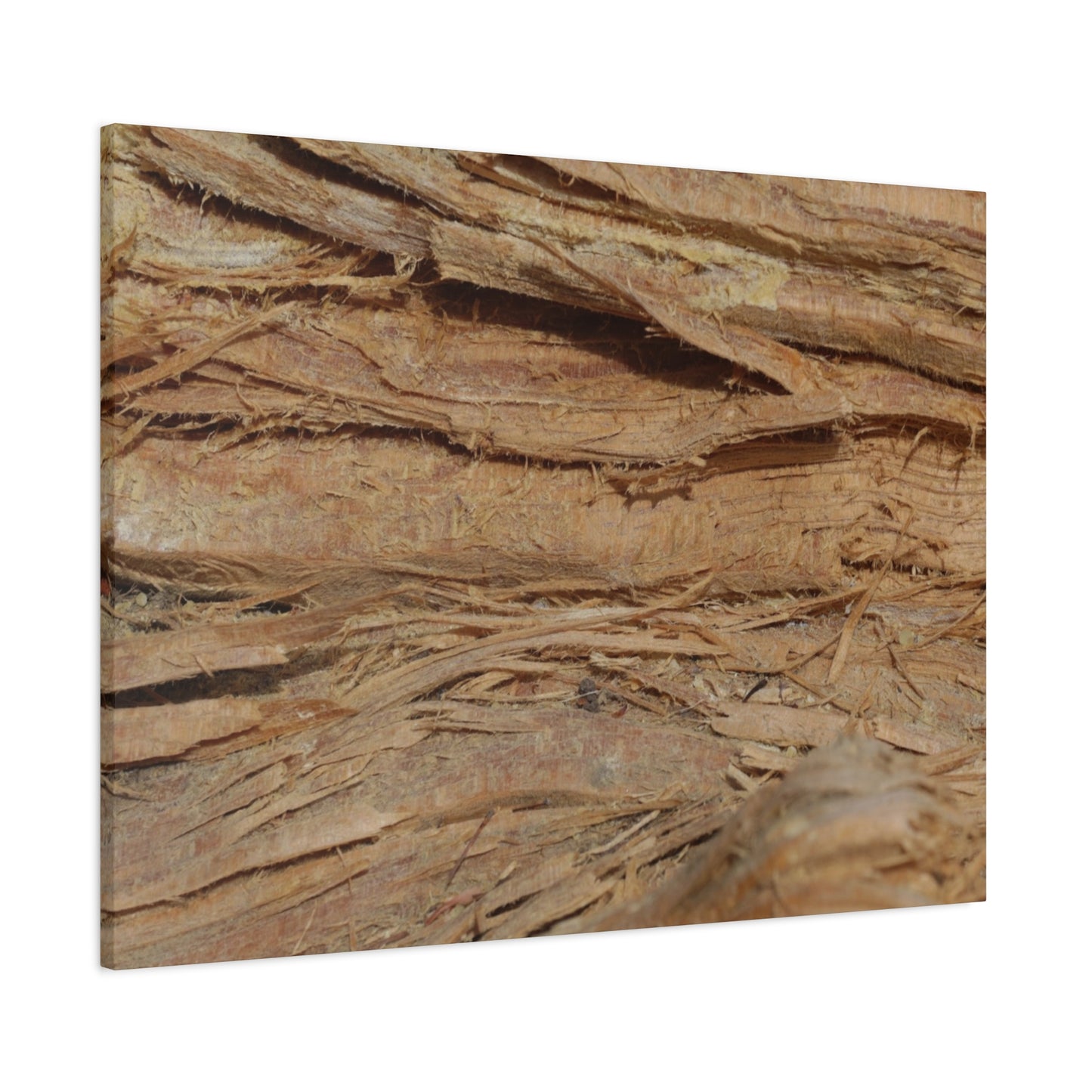 Layers of Memory - Unique Frameless Canvas Wall Art - Art By Earth