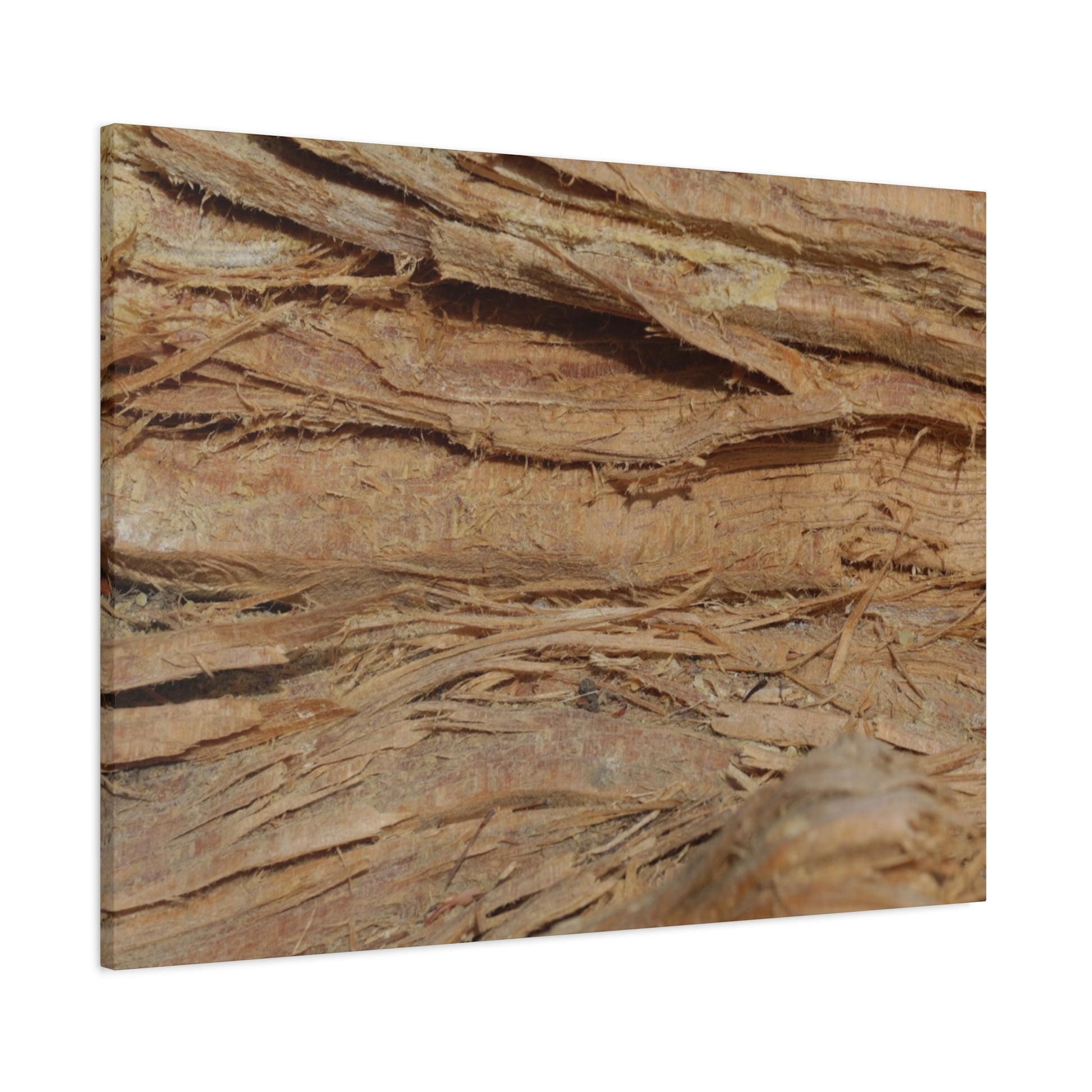 Layers of Memory - Unique Frameless Canvas Wall Art - Art By Earth